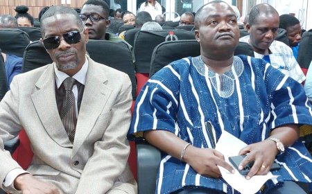 RE - ENACT PERSONS WITH DISABILITY ACT TO ALIGN WITH INTERNATIONAL TREATIES, PROTOCOLS - GFD URGES GOVERNMENT.