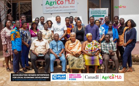 NEIP, AGRICO HUB START UP ACCELERATION PROGRAMME FOR BONO EAST REGION LAUNCHED.