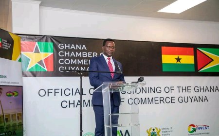 PRIORITISE EDUCATION MINISTER'S INITIATIVE OF RAISING 1,000 ENGINEERS BY 2030 - GOVERNMENT TOLD.