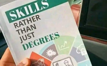 10 Lessons from the book "Skills Rather Than Just Degrees"