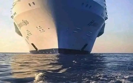THE WORLD'S LARGEST SHIP CALLED "ICON OF THE SEA" IS ABOUT TO SET SAIL IN JANUARY 2024