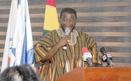 DIRECTOR - GENERAL OF NADMO INSPECTS ON - GOING PROJECT AT TEPA ODIKRO - NKWANTA