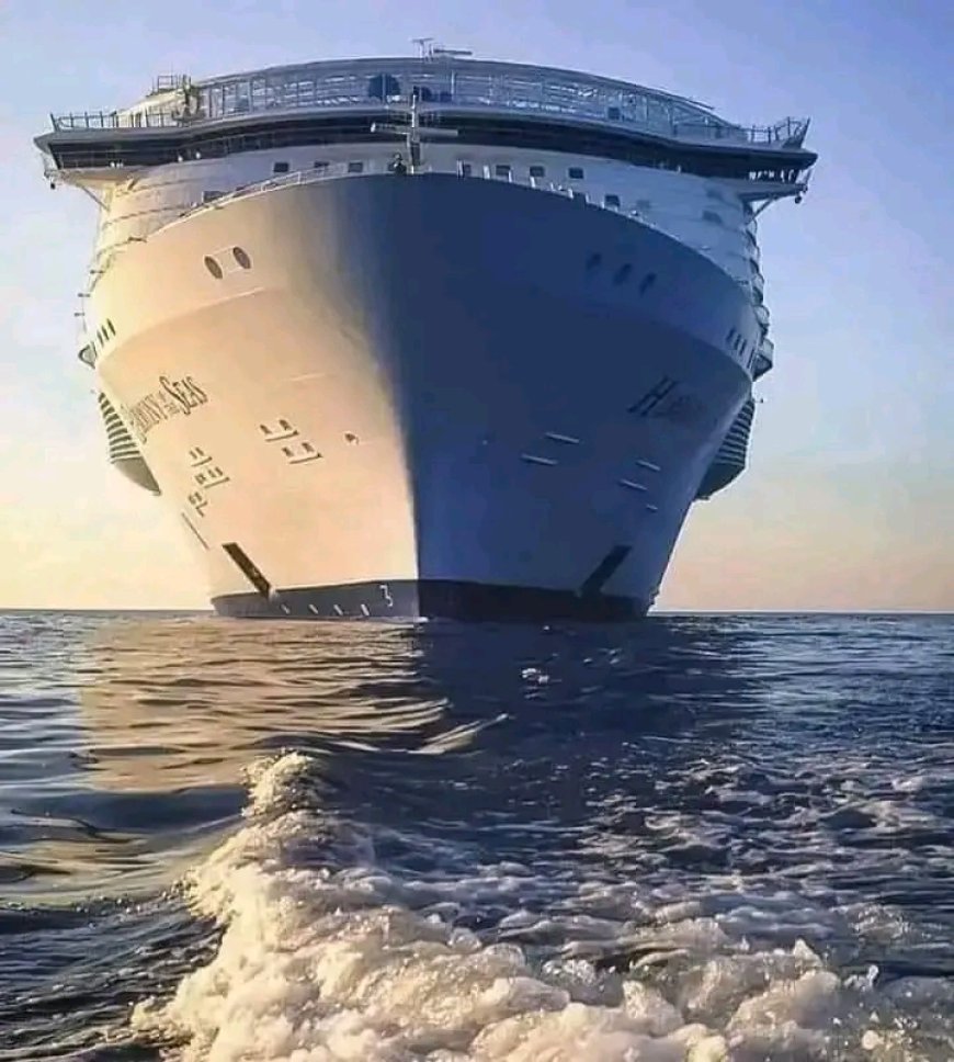 THE WORLD'S LARGEST SHIP CALLED "ICON OF THE SEA" IS ABOUT TO SET SAIL IN JANUARY 2024