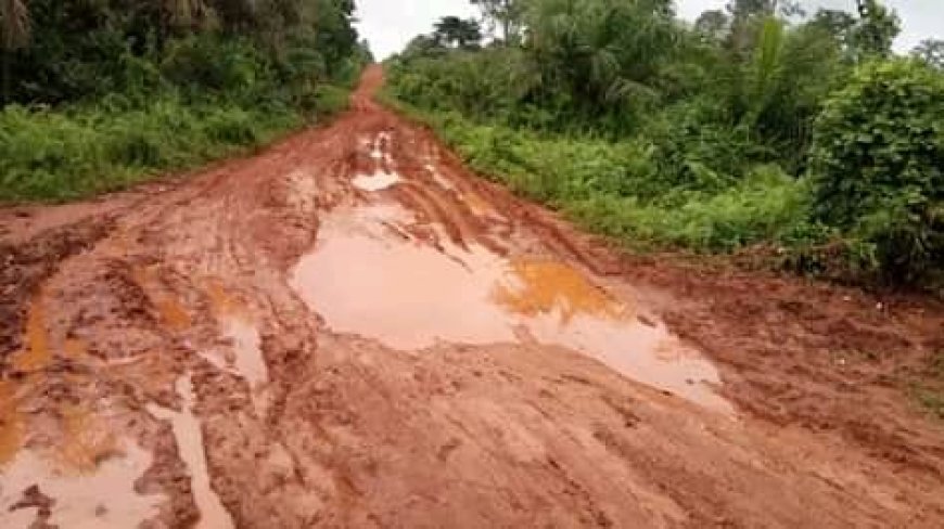 GOVERNMENT URGED TO CONSTRUCT SEFWI BEKWAI TO AGONA AMANFI ROAD.