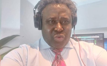 CROOKS, MOSTLY IN WEST AFRICA, WHO ARE NOT IN MILITARY UNIFORMS, ARE GRADUALLY KILLING DEMOCRACY.  BY MANSA MUSA