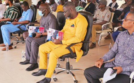 USE YOUR EXPERTISE TO DEVELOP MORE INNOVATIVE, CREATIVE IDEAS FOR NATION BUILDING -- ING. PETER ANTWI BOSIAKO CHARGES TUTAG.