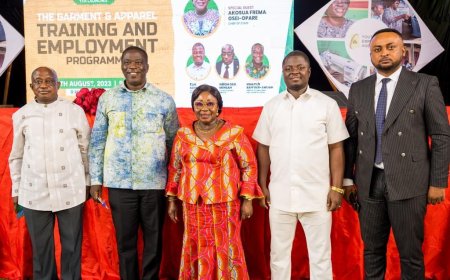 YEA NEEDS ENOUGH FUNDS TO ROLL OUT MORE YOUTH CENTERED PROGRAMMES - CEO