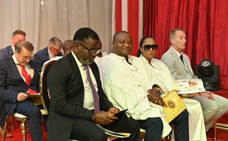 DR HASSAN AYARIGA, UN CHIEFS, NETHERLAND INVESTORS HONOUR OLU OF WARRI'S CORONATION ANNIVERSARY.