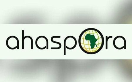 AHASPORA PROFESSIONALS NETWORK HOLDS INAUGURAL DIASPORA ROUNDTABLE SERIES ON FAMILY BUSINESS, AFRICA'S DEVELOPMENT.
