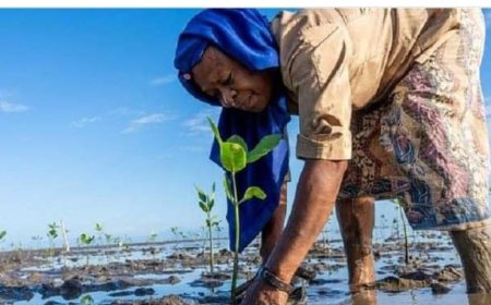 CLIMATE ANALYTICS REPORT: oil and gas majors could have paid for their share of climate loss and damage, and still earned USD10 trillion