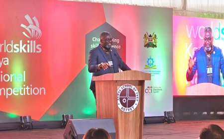 INVEST IN TVET TO REDUCE YOUTH UNEMPLOYMENT - ING ANTWI - BOSIAKO URGES AFRICAN LEADERS