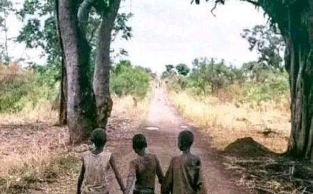 GONE ARE THE DAYS IN AFRICA : we used to dine, wine, work and play together,   - An article of love, togetherness, patriotism, respect and nation building