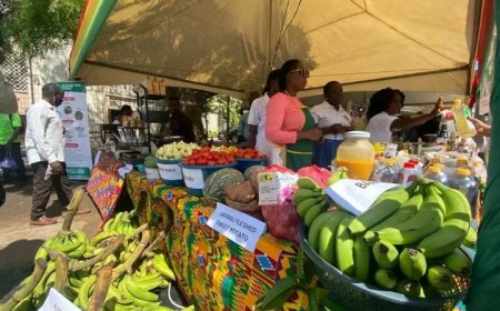 Fisheries and Aquaculture Development, Food and Agriculture Ministries Launch Five - Day Agriculture Fair to Celebrate Farmers