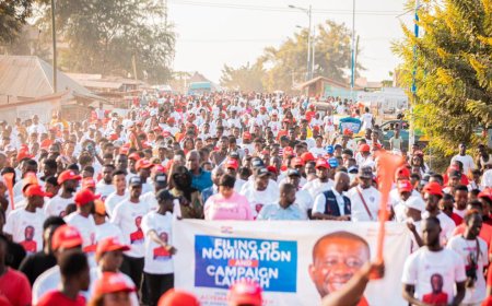 Nana Agyemang Prempeh files nomination forms to contest Ahafo Ano North primaries