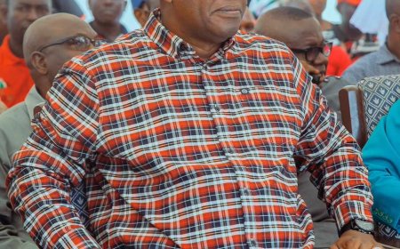 John Dramani Mahama writes to Afua Asantewaa Aduonum : We are immensely proud to see you make history.