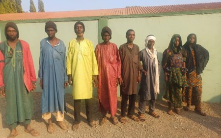 See Something, Say Something: National Intelligence Bureau arrests 8 Nigerians.