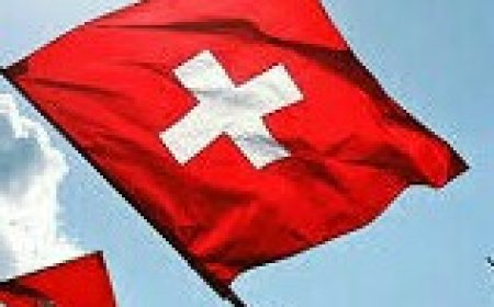 Switzerland Announces USD10.5 Million Grant For Ghana's Cashew And Oil Palm Sectors