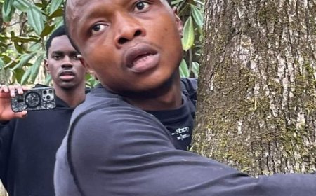 Guinness World Record Attempt : Ghanaian Hugs 1,123 Trees, Averaging 19 Per Minute