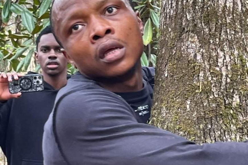 Guinness World Record Attempt : Ghanaian Hugs 1,123 Trees, Averaging 19 Per Minute