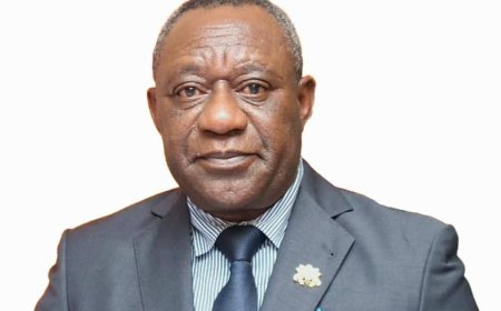 Dr Kwabena Kokofu Eulogises Akufo - Addo’s Government's Commitment to Climate Action And Sustainable Development