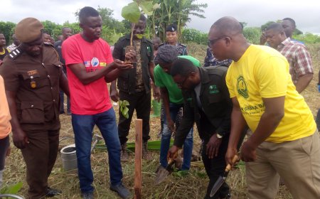 Greening Ghana : Let's Preserve Our Forest Reserves And Water Bodies For Posterity - Asutifi North DCE