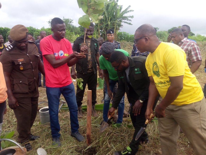 Greening Ghana : Let's Preserve Our Forest Reserves And Water Bodies For Posterity - Asutifi North DCE