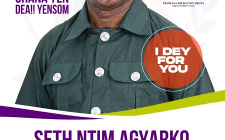 Seth Ntim Agyarko Writes : President Akufo - Addo And Appointees Have Wasted State Resources Than Any Government