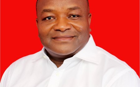 Constitutional Instrument Compelling Vice Presidents To Resign If Selected As Flag bearer Is Crucial - Dr Hassan Ayariga writes