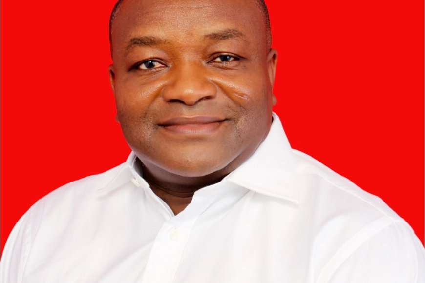 Constitutional Instrument Compelling Vice Presidents To Resign If Selected As Flag bearer Is Crucial - Dr Hassan Ayariga writes