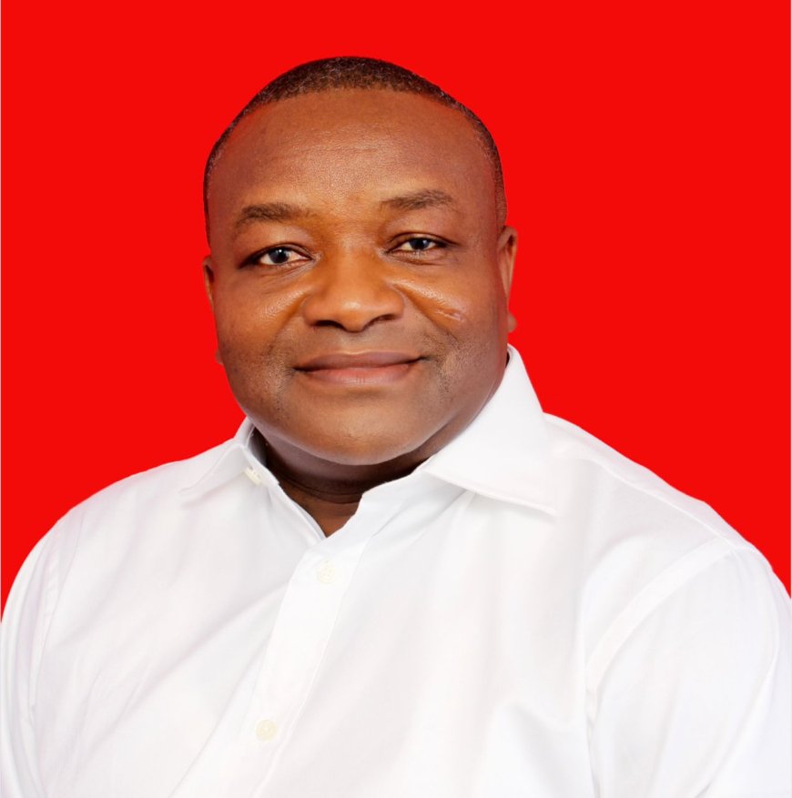 Constitutional Instrument Compelling Vice Presidents To Resign If Selected As Flag bearer Is Crucial - Dr Hassan Ayariga writes