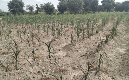 Climate change exposed 2 billion to more than 30 days of “risky heat” in last three months