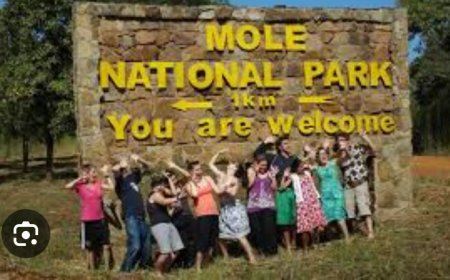 Developing The Northern Sector Of Ghana, To Be A Tourism Hub Of West Africa, Is Very Apt