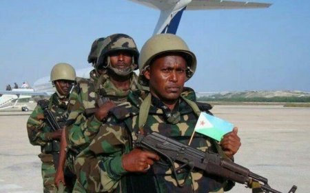 Africa Is Rising : Nigeria makes strides in locally producing ammunition and other military equipment.