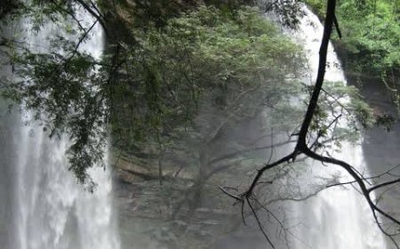 World Bank announces a $100 billion commitment for IDA21 replenishment, strengthening global efforts to combat poverty, climate change