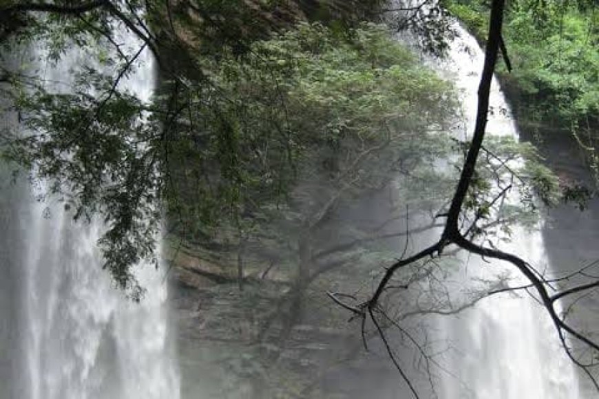 Take actions to uphold the values Erastus Asare Donkor represents, Germany-based Environmental Chemist enjoins Government