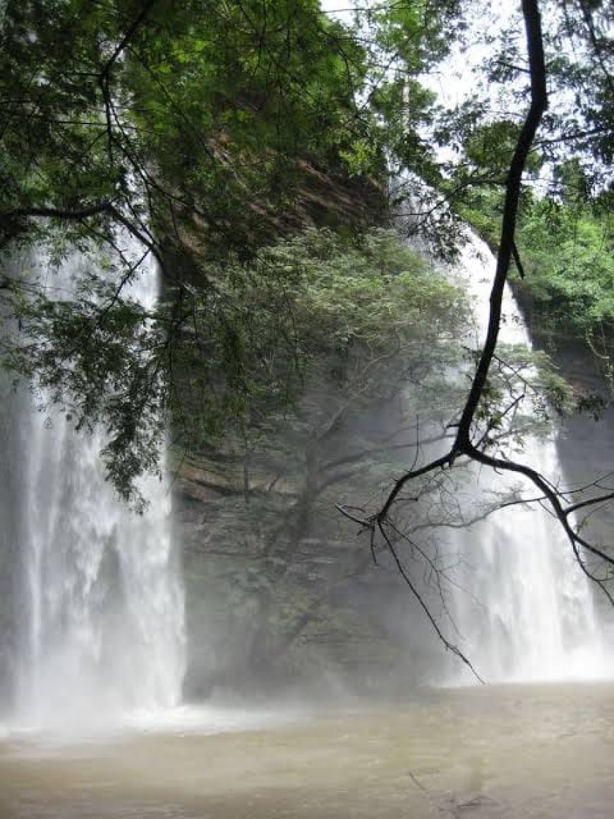 Take actions to uphold the values Erastus Asare Donkor represents, Germany-based Environmental Chemist enjoins Government