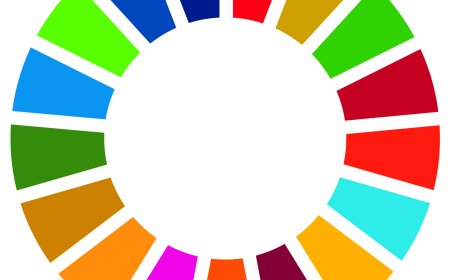 Female Genital Mutilation : Over 230 Million Girls, Women survived the horrific gender -based violence