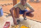 13-Year African Builds Battery-Powered Excavator, Tipper Truck Using Local Materials