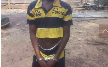 Pupil,17, arrested for allegedly killing his Mother over missing item