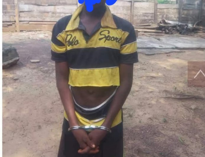Pupil,17, arrested for allegedly killing his Mother over missing item