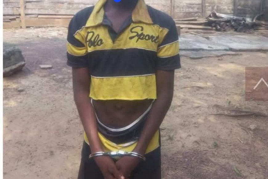 Pupil,17, arrested for allegedly killing his Mother over missing item