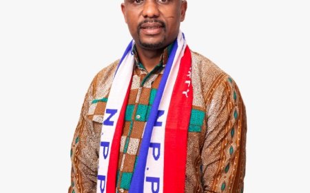 NPP–UK North London Member Petitions Party Leadership to Create Diaspora Polling Centres Ahead of Presidential Primaries