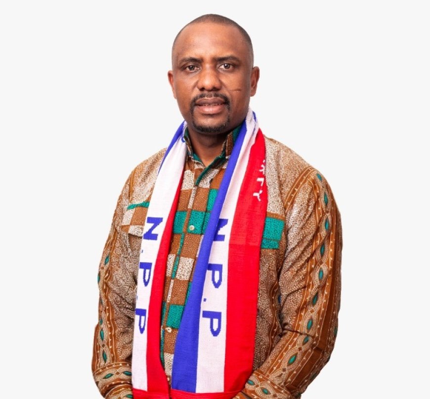 NPP–UK North London Member Petitions Party Leadership to Create Diaspora Polling Centres Ahead of Presidential Primaries